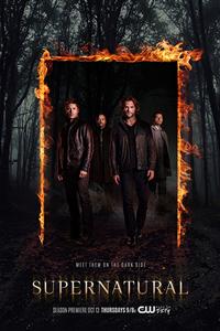 Supernatural Season 14 DVD Boxset